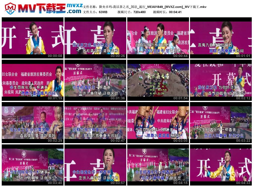 降央卓玛-我以茶之名_国语_流行_MEA01849